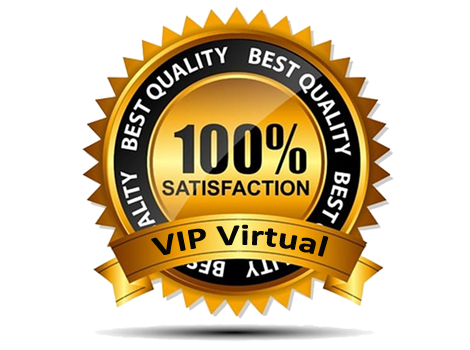 VIP Virtual Satisfaction